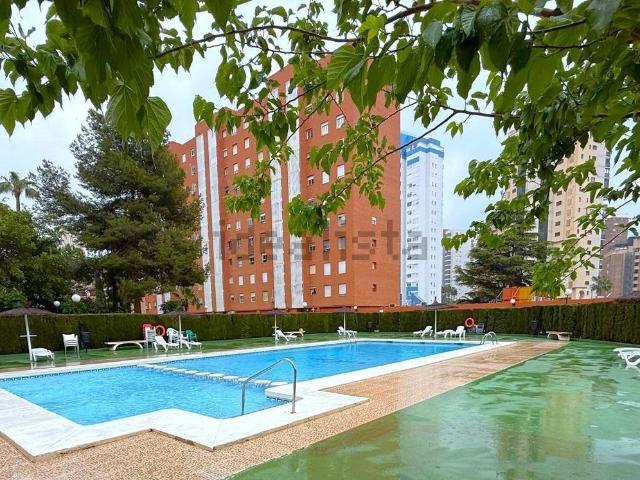 Piso, Benidorm