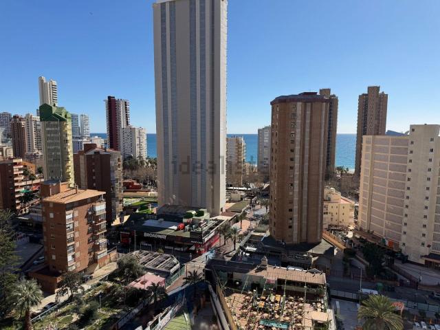 Piso, Benidorm
