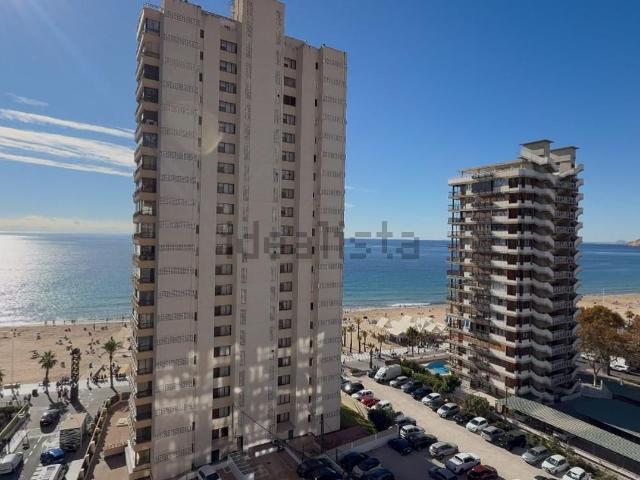 Piso, Benidorm
