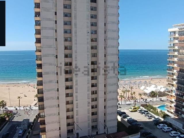 Piso, Benidorm