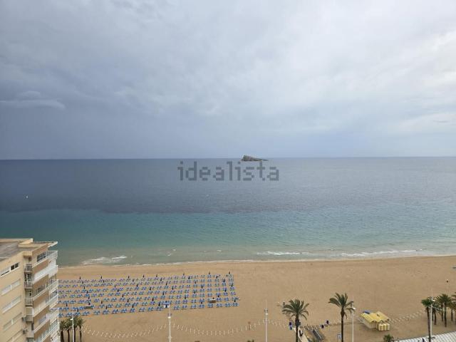 Piso, Benidorm
