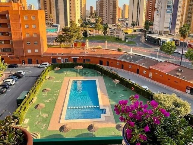 Piso, Benidorm
