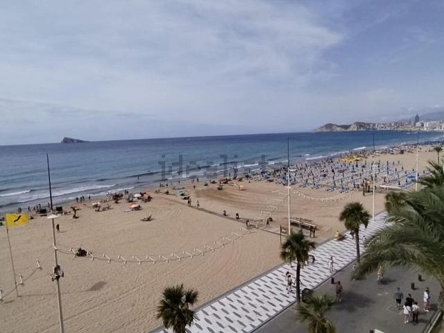 Piso, Benidorm