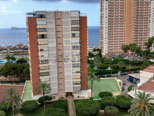 Piso, Benidorm