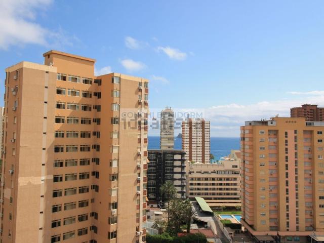 Piso, Benidorm
