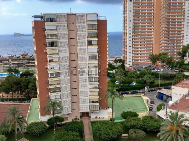 Piso, Benidorm