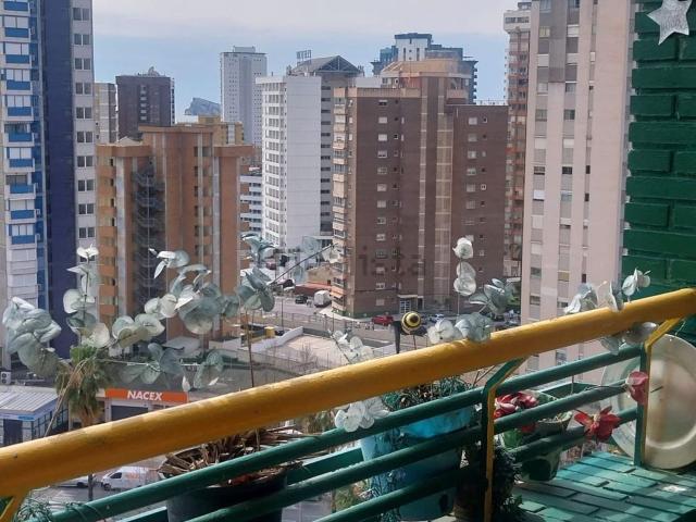 Piso, Benidorm