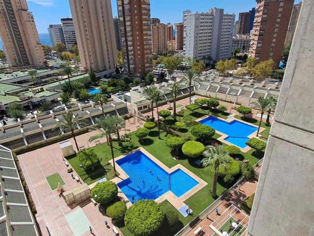 Piso, Benidorm