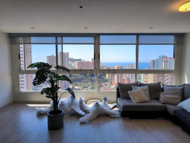 Piso, Benidorm