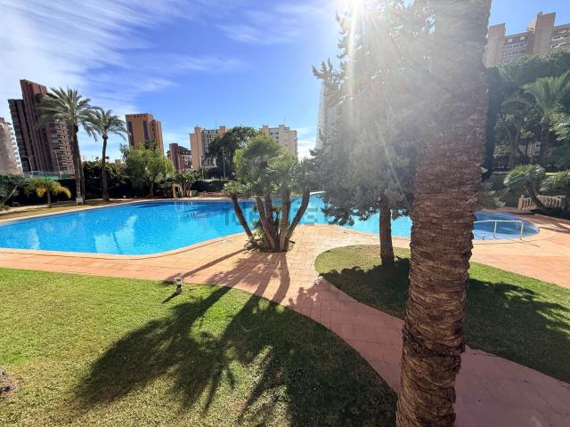 Piso, Benidorm
