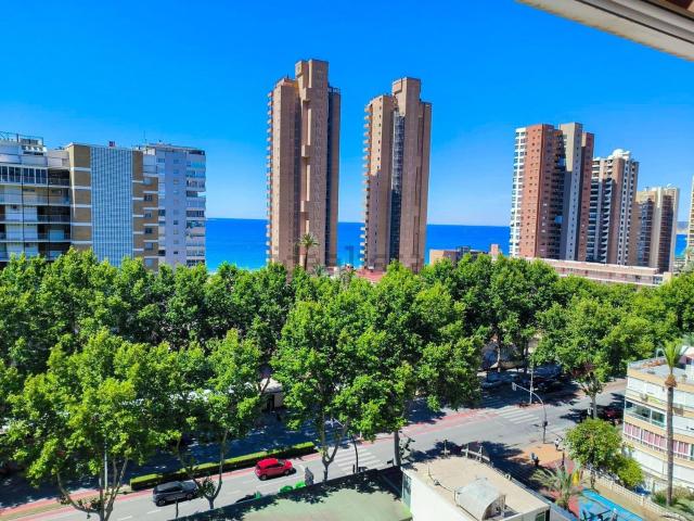 Piso, Benidorm