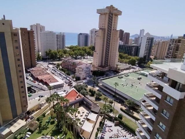 Piso, Benidorm