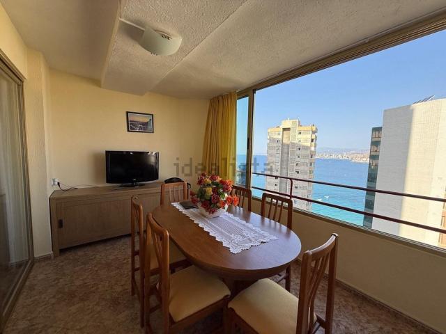 Piso, Benidorm