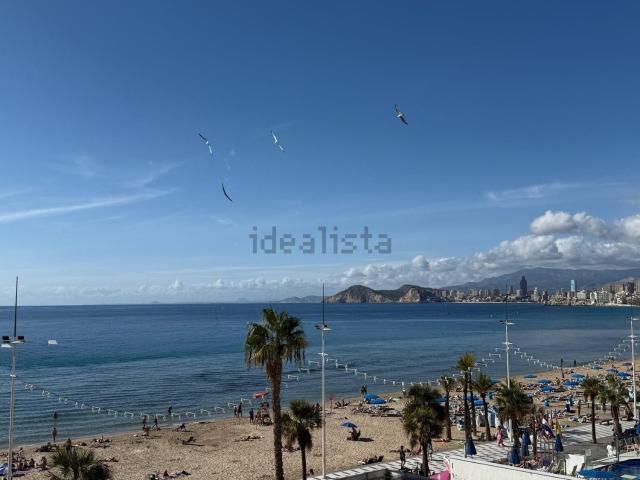 Piso, Benidorm