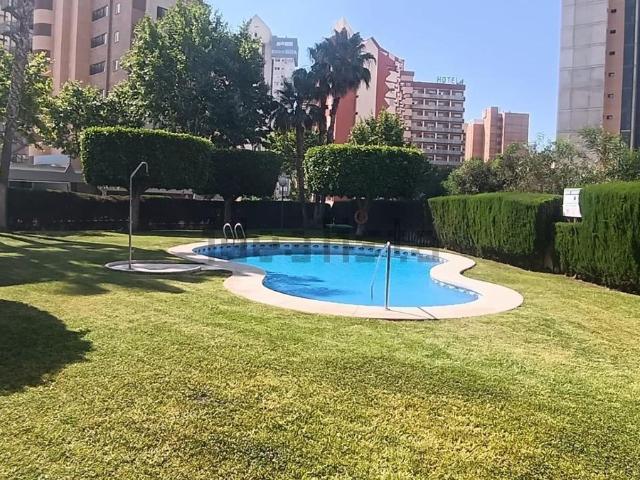 Piso, Benidorm