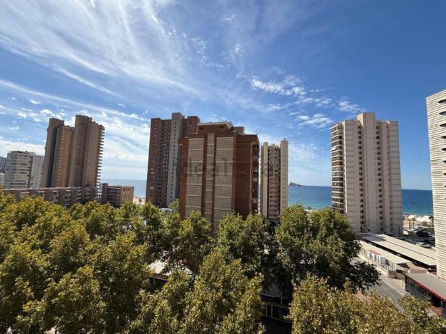 Piso, Benidorm
