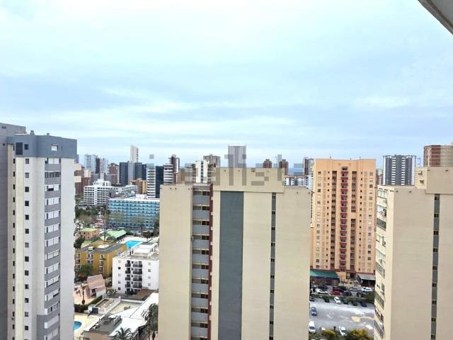 Piso, Benidorm