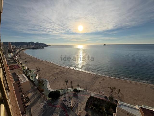 Piso, Benidorm