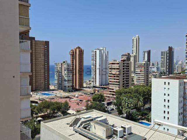 Piso, Benidorm