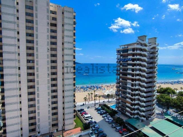 Piso, Benidorm