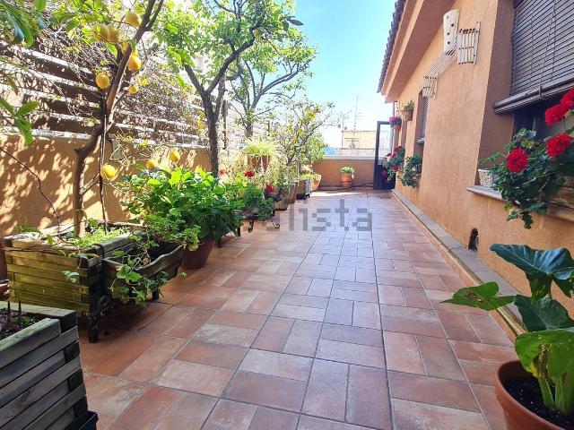 Piso, Blanes