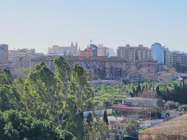 Piso, Bons Aires, Palma de Mallorca