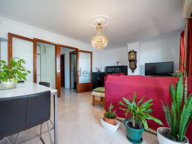 Piso, Bons Aires, Palma de Mallorca