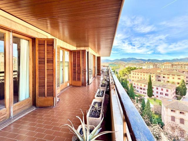 Piso, Bons Aires, Palma de Mallorca