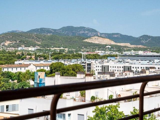 Piso, Bons Aires, Palma de Mallorca