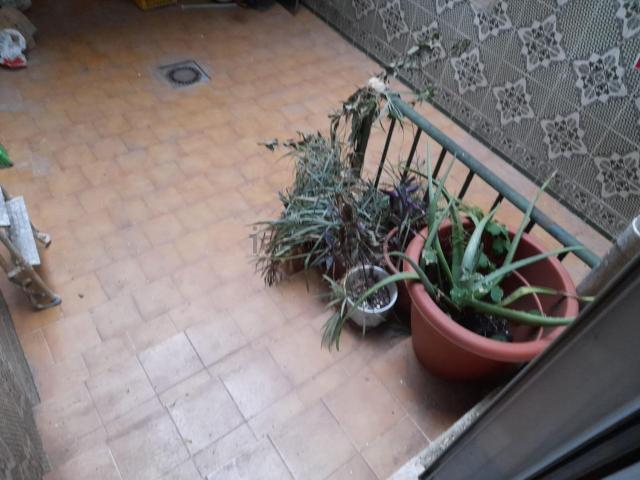 Piso, Cáceres
