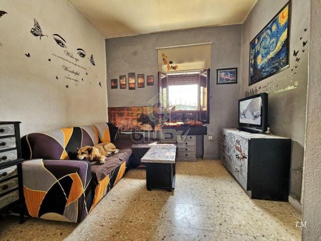 Piso, Cáceres