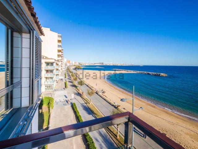 Piso, Calonge