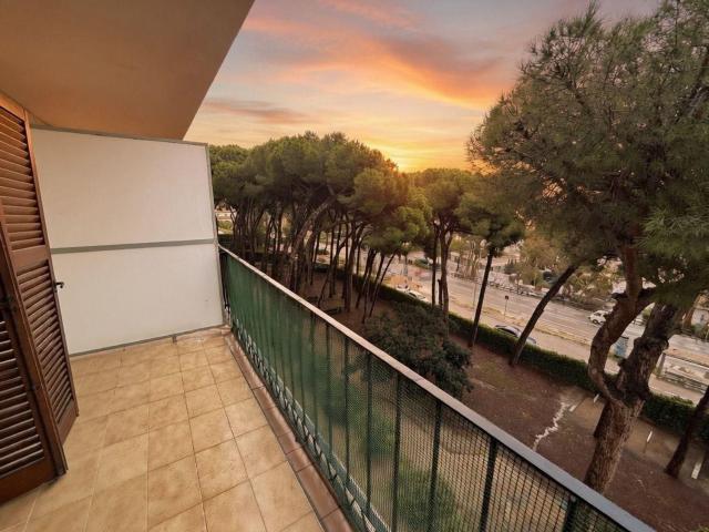 Piso, Calonge