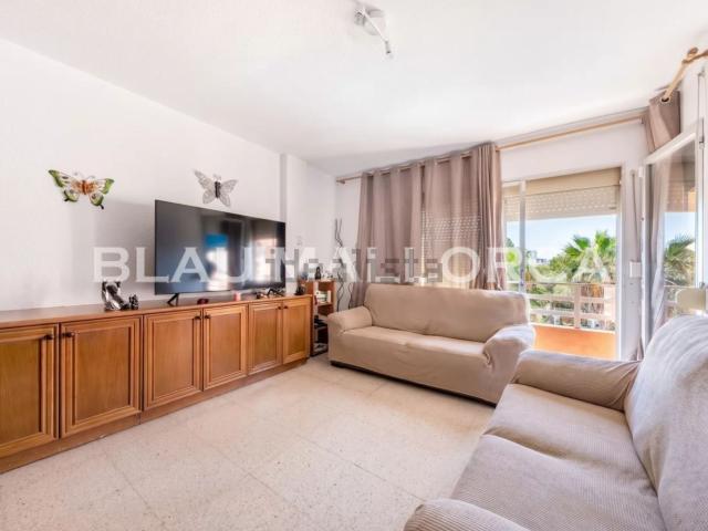 Piso, Cala Millor
