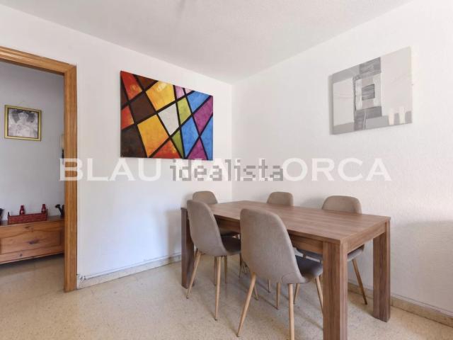Piso, Cala Millor