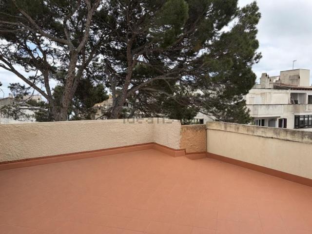 Piso, Cala Millor