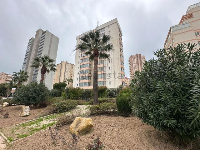 Piso, Calpe