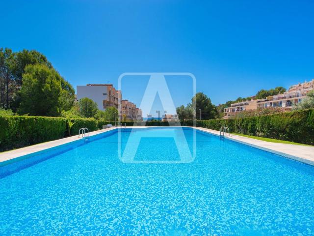 Piso, Calpe