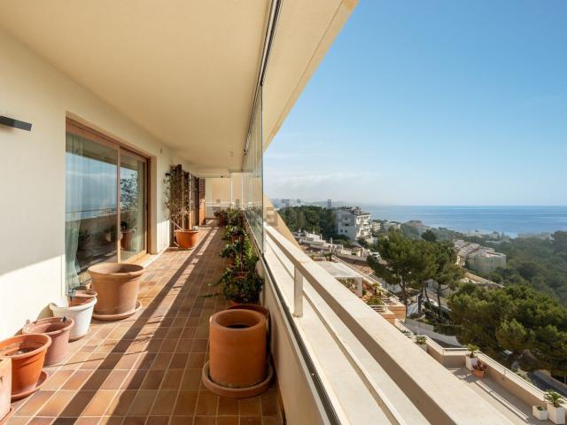 Piso, Calvià