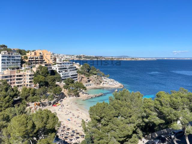 Piso, Calvià