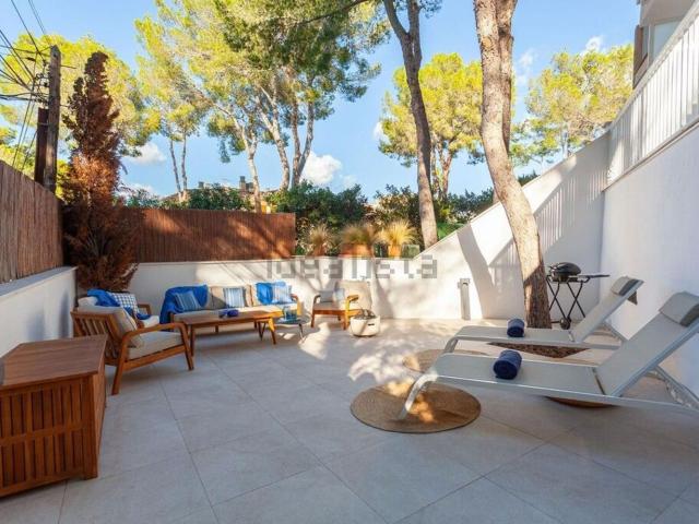 Piso, Calvià