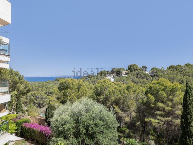 Piso, Calvià