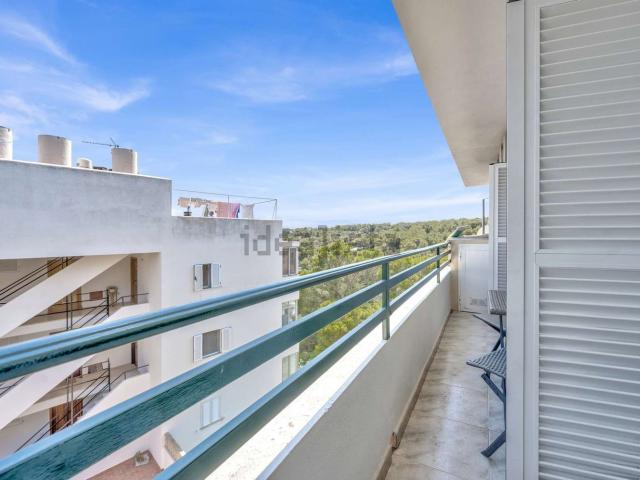 Piso, Calvià