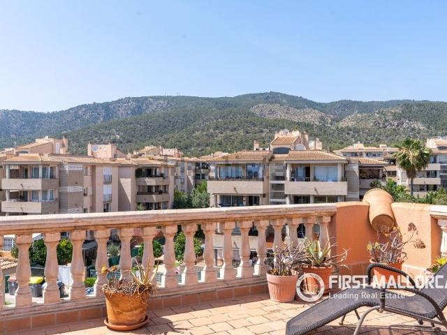 Piso, Calvià