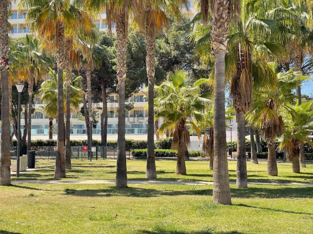 Piso, Calvià