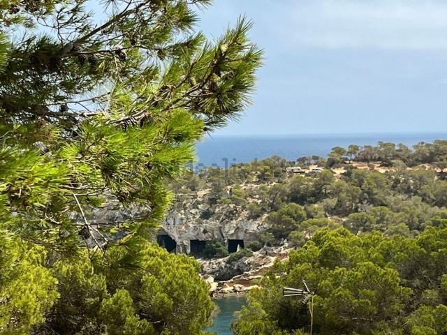 Piso, Calvià