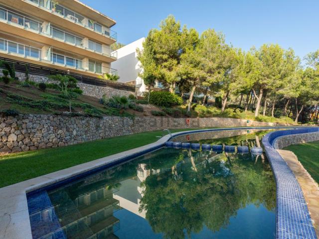 Piso, Calvià