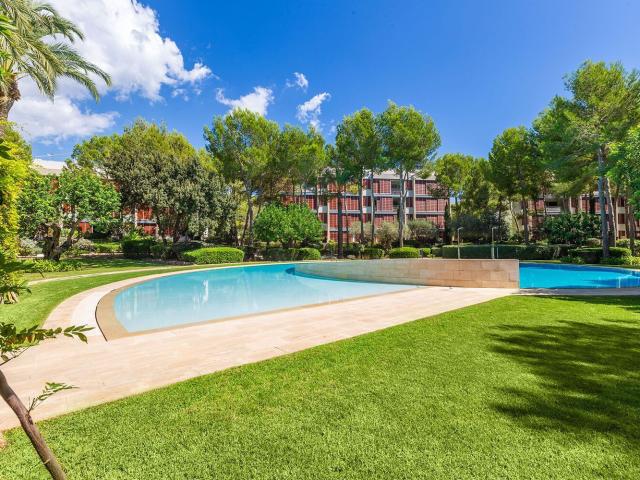 Piso, Calvià