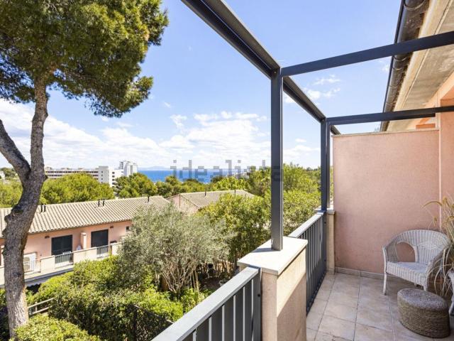 Piso, Calvià