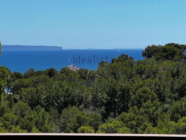 Piso, Calvià
